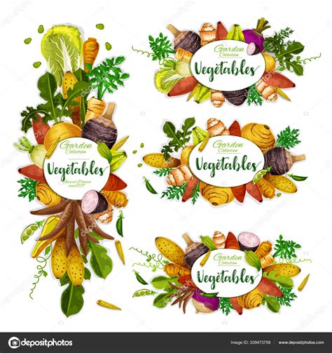 Exotic Veggies Frame Organic Vegetables — Stock Vector © Seamartini