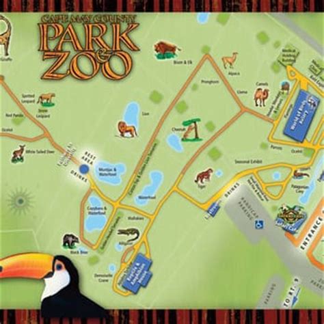 Those lifelike animals such as panda and elephant may be unhappy when they three have not been got. Cape May County Park & Zoo - 333 Photos & 138 Reviews ...