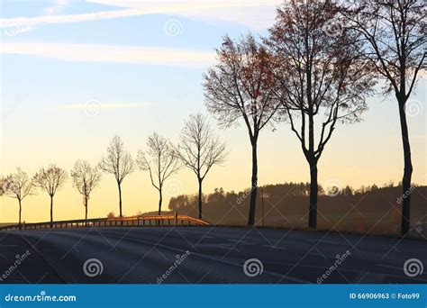 Roadside Autumn Trees With Guardrail At Sunset Stock Image Image Of