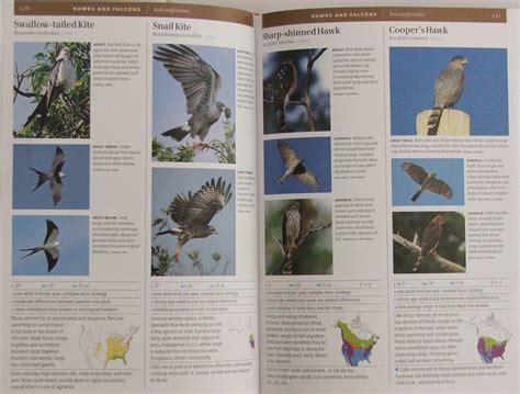 Review Smithsonian Field Guide To The Birds Of North America