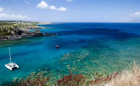 Honolua Bay Snorkel Maui Sights And Treasures