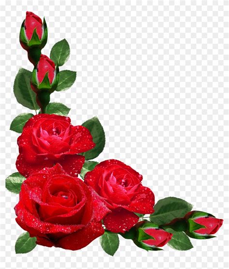 Rose Flower Design Border Png