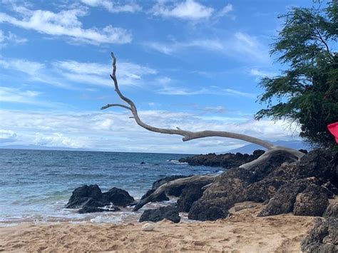 Maluaka Beach Wailea 2019 All You Need To Know Before You Go With