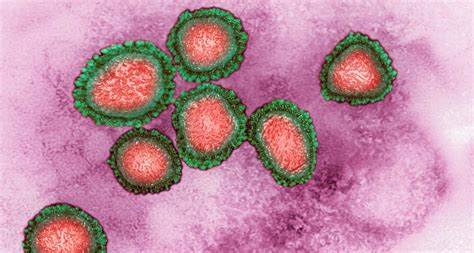 China: Neues Coronavirus als Ursache von Pneumonien ermittelt
