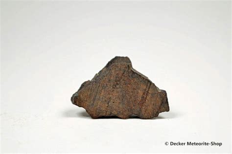 Dhofar 020 Meteorit 915 G Kaufen Decker Meteorite Shop