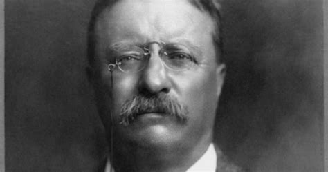 Serene Musings 10 Fun Facts About Theodore Roosevelt Images And