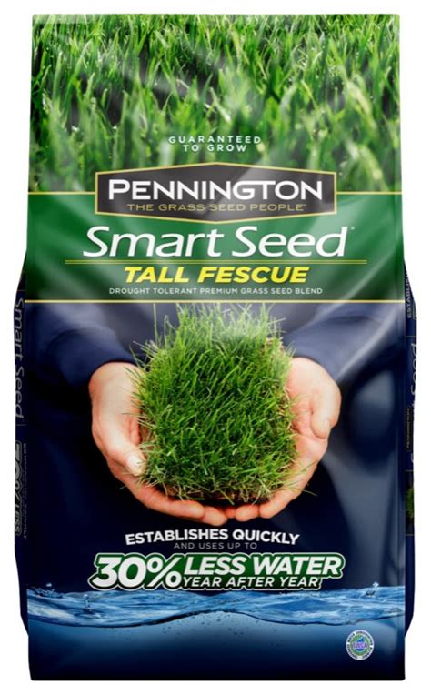 Pennington 100543722 Smart Seed Tall Fescue Grass Seed 3 Lbs Bulbs