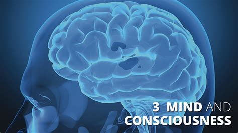 Mind And Consciousness001 Solas