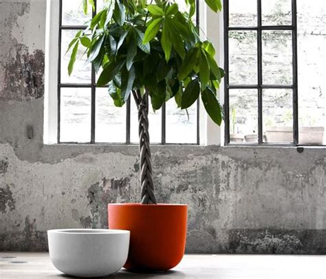 It is crafted from western red cedar, which means that it is resistant to insect. Serralunga 1825 Cup | Outdoor or indoor pot, planter, vase ...