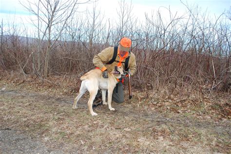 Bruce And Elaine Ingram Indoors And Out Grouse Hunting In The Virginia