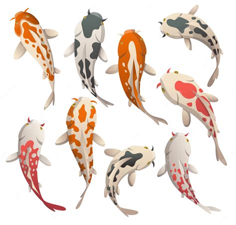 Premium Vector Koi Fish Flat Illustration Japanese Carp And Colorful