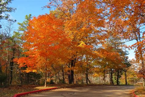 An Arkies Musings Arkansas Autumn