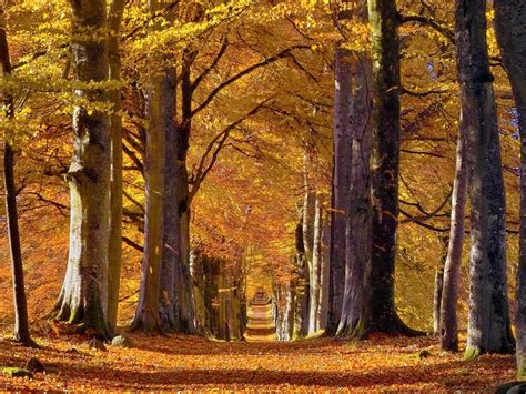 Autumn Europe Street Wallpapers Wallpaper Cave