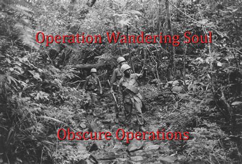 Operation Wandering Soul Die Geister Des Vietnamkrieges