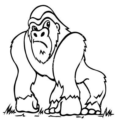 You can also find these animals in lot of animated and cartoon movies. Gorilla template drawing (cdn.vectorstock.com, 2015 ...