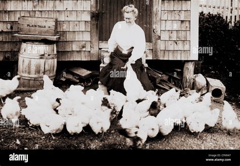Old Woman Feeding Flock Of Chickens Stock Photo Alamy