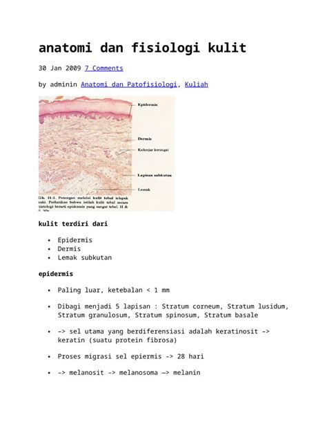 Docx Anatomi Dan Fisiologi Kulit Dokumen Tips
