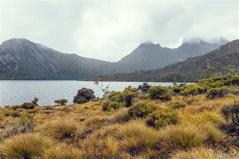 Australia Tasmania Cradle Mountain Lake St Clair National Park Stock