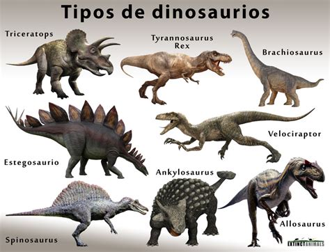 Dinosaurios Nombres De Los Diferentes Tipos Cuándo Y Cómo Se Extinguieron