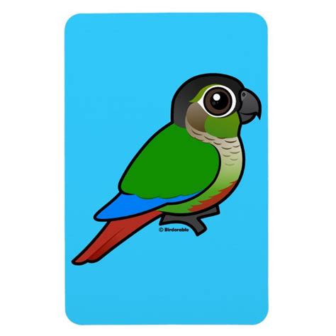 Green Cheeked Conure Bumper Sticker Cute Bird Ts