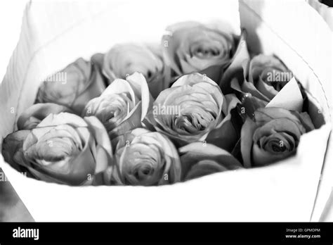 Yellow Roses Bouquet On Black And White Stock Photo Alamy