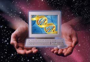 The dna microarray is a tool used to determine whether the dna from a particular individual contains a mutation in genes. A Step Towards Success....: DNA COMPUTERS (The most ...