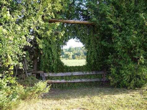 Cross country jumps, greg schlappi cross country jumps landrum, sc permanent jumps. Hugh Morshead's Blog: Cross country jumps