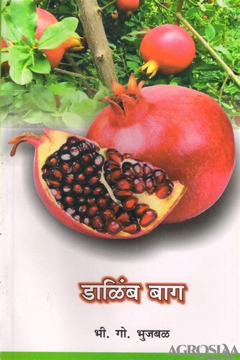 Dalimb Bagh Book By Bgbhujbal 1