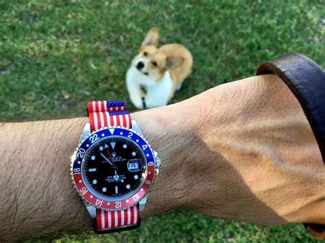 Show Your Rolex And Your Dog Page 8 Rolex Forums Rolex Watch Forum