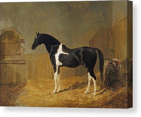 A Painting Of A Black And White Horse Standing In Hay Next To A Wooden