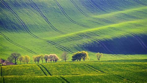 Moravian Tuscany Beautiful Spring Landscape In South Moravia Near