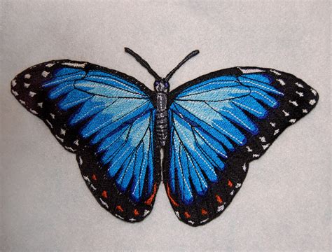 Epic Life Sized Blue Morpho Butterfly Morpho Peleides Etsy
