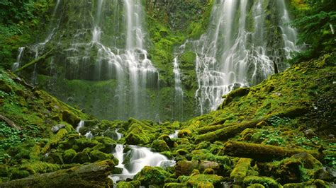 Download Nature Waterfall Hd Wallpaper