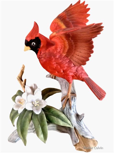 West Virginia State Bird And Flower Sticker For Sale By Skyviper