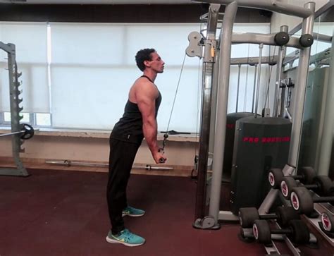 Seated Ez Bar Overhead Triceps Extension Exercise Guide