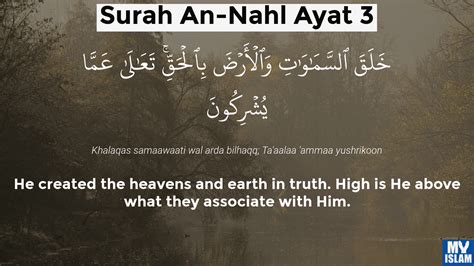 Surah An Nahl Ayat 3 163 Quran With Tafsir My Islam