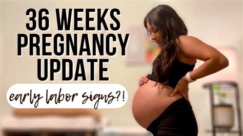 Week Pregnancy Update Months Pregnant Youtube
