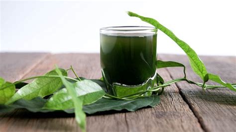 What Is Chlorophyll Water And Why Is Everyone Talking About It Metro