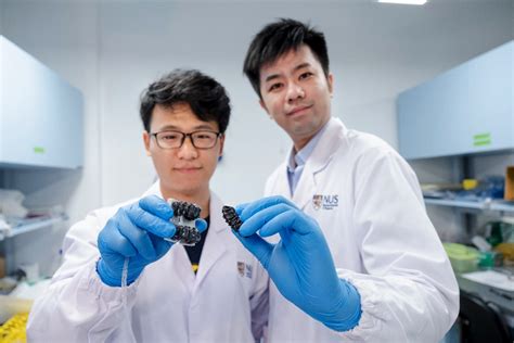 Nus Researchers Create A New Metallic Material For Hardy Origami Robots