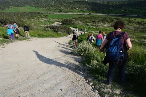 Wandelen In Israël Ontdek Onze Wandelvakantie Israël Idoed Reizen