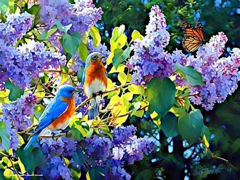 Little Bird And Lilacs Wallpapers Wallpaper Cave