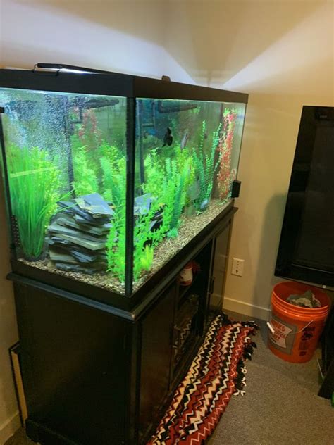 90 Gallon Fish Tank For Sale In Everett Wa Offerup