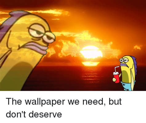 29 Spongebob Squarepants Meme Wallpaper