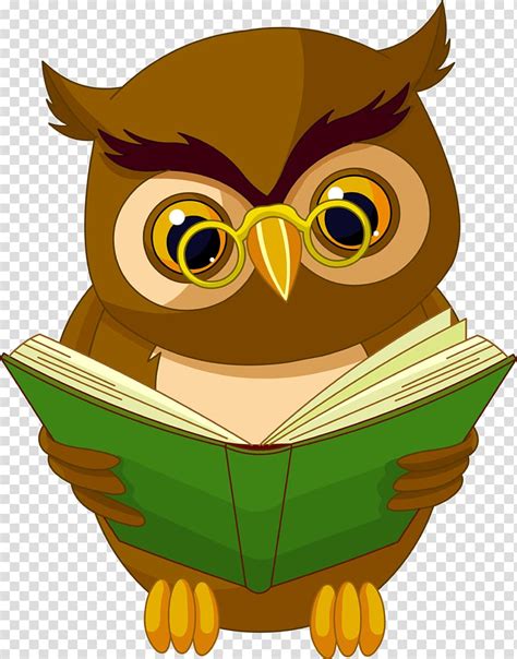 Free Download Baby Owls Book Reading Owls Transparent Background