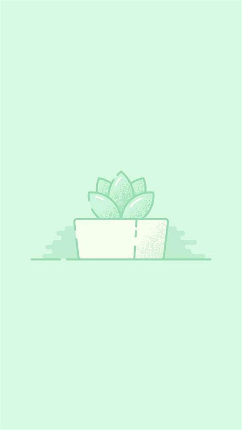 Download Light Green Aesthetic Succulent Wallpaper