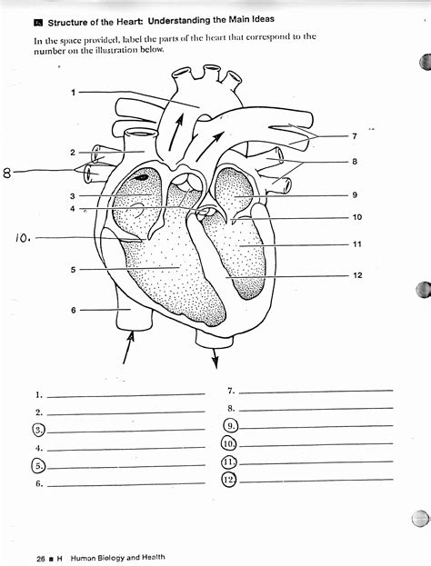 Teach Child How To Read Human Heart Printable Worksheets