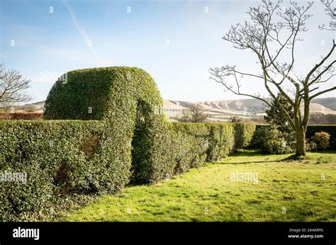 Hedge Arch Winter Hi Res Stock Photography And Images Alamy