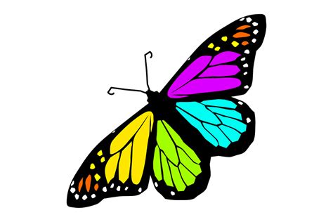 Schmetterling Design Fr Hling Kostenlose Vektorgrafik Auf Pixabay