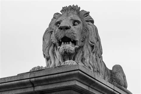 Close Up Lion Statue At The Chain Bridge Stock Image Image Of Space