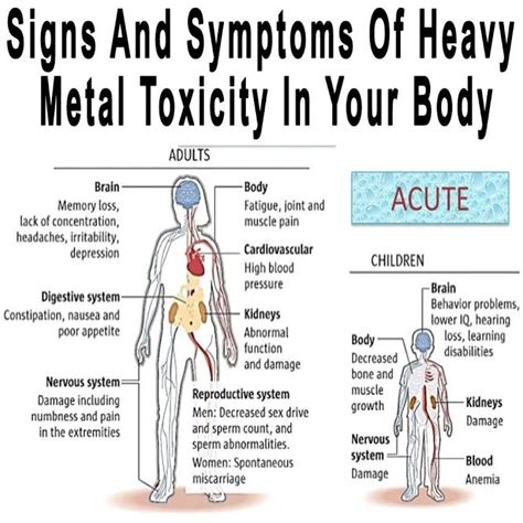 Signs And Symptoms Of Heavy Metal Toxicity In Your Body Signs And